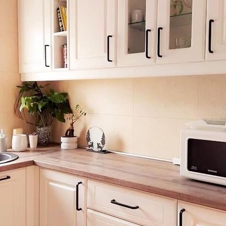 Cosy Boutique 61 Sqm Apartment - Private Parking - Ten Blocks Residence Boekarest Buitenkant foto